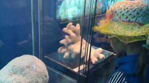 "Медвежья пещера" и Морской музей. Сафари-Парк Геленджик.