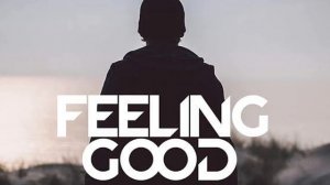 Avicii - Feeling Good