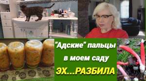 ✅Влог✅Разбила...✅Закупка продуктов для праздничного стола✅Грибы из Красной книги в саду✅Суп на зиму