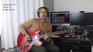 Gibson ES-335 vs ES-339