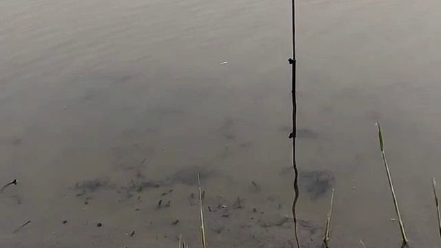 Рыбалка