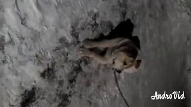 ОРБИТА 💫 ОБЩЕНИЯ смотреть онлайн