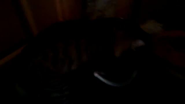 Мой кот любит мыть пол смотреть онлайн