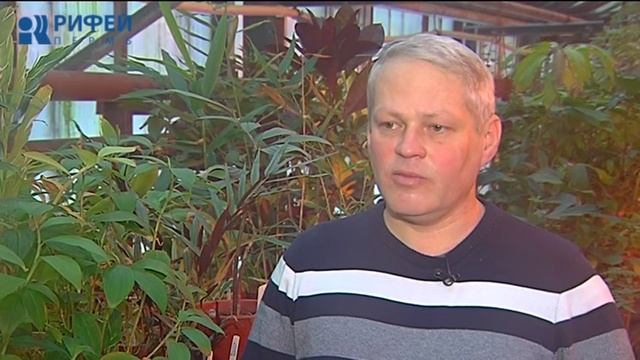 Зеленый участок. Домашний кофе смотреть онлайн