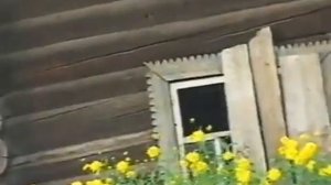 Юрий Краснопёров   Ой, года мои года