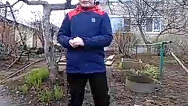 Как выращивать шпинат смотреть онлайн