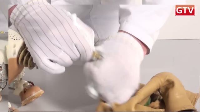 Робот PLEO - устройство и разбор динозавра смотреть онлайн