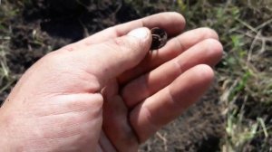 #20_kg_monet_kajdomy. Поиск с Minelab E - Trac в Пензенской области