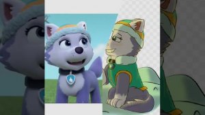 маршал и эверест ❤️💜 ( заказ)