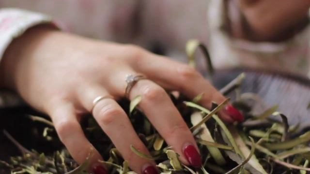 Порошок из коры осины смотреть онлайн