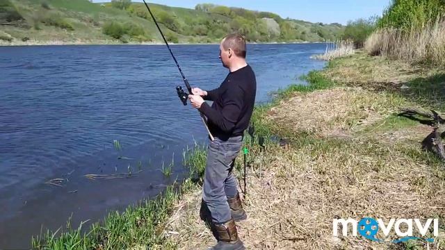 Бешеный клёв Густеры