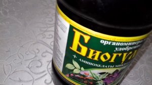 ПОЛЕЗНЫЕ СВОЙСТВА БИОГУМУСА ПРИ ВЫРАЩИВАНИИ РАССАДЫ И ДРУГИХ РАСТЕНИЙ.