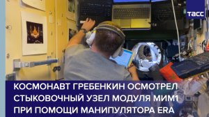 Космонавт Гребенкин осмотрел стыковочный узел модуля МИМ1 при помощи манипулятора ERA