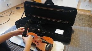 как выбрать скрипку? || How to choose a violin? || for Beginners)