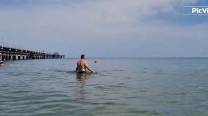 Анапа сегодня! ПРИПЛЫЛИ ДЕЛЬФИНЫ. Пляж в Витязево. Какое море сейчас в Анапе 16 июня. Погода