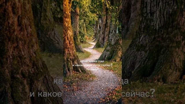 Практика 