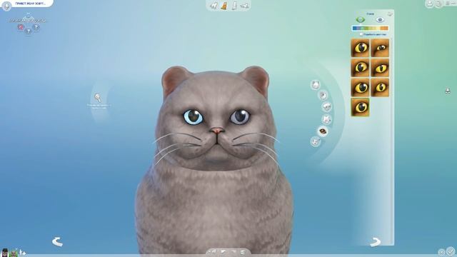 ЧУДО ГЕНЕТИКИ, КОШКИ - The Sims 4 "Кошки и Собаки" смотреть онлайн