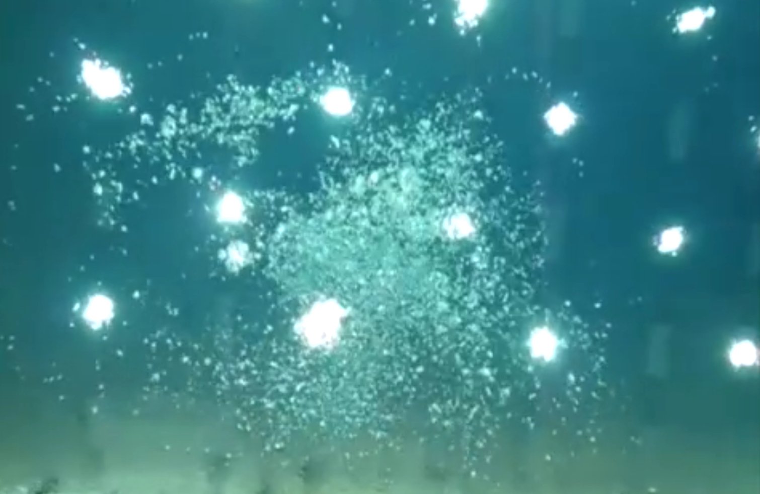 Dream Diving.