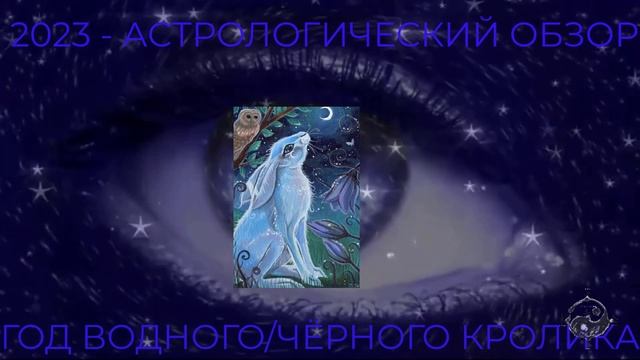 2023 год - астрометафизический обзор на год водного чёрного кролика.