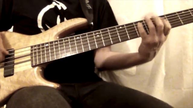 Voyager - Daft Punk - Bass Cover by Schuller смотреть онлайн