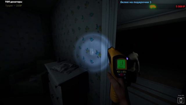 Ghost Exile / изгнание призрака  / хеппибезднутый стрим / охота на привидений /  стрим / призраки