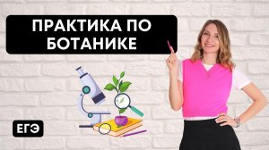 Практика по Ботанике