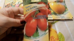 А к новому огородному сезону я купила семена томата Гаспачо от агрофирмы Гавриш