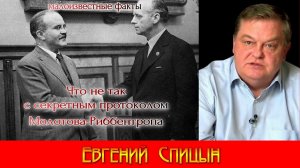 Что не так с секретным протоколом пакта Молотова-Риббентропа. Евгений Спицын. World War II. #ВОВ.