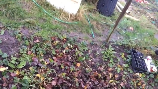 Ep8 Plot update with some composter building and sticky mud смотреть онлайн