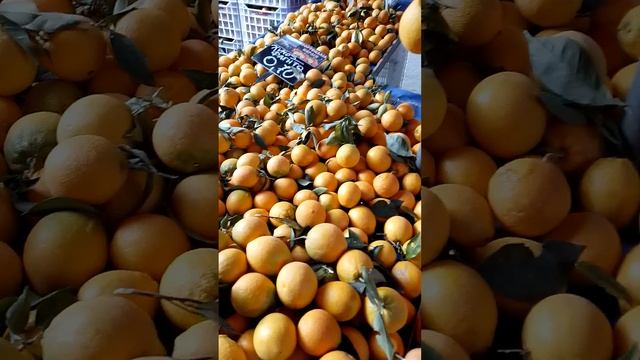 Клементины Мандарины.Ананасы.How much do tangerines cost in Greece.