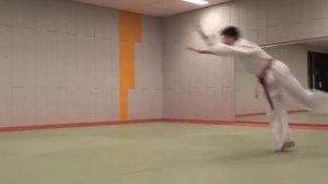 Hapkido falling techniques (낙법 )