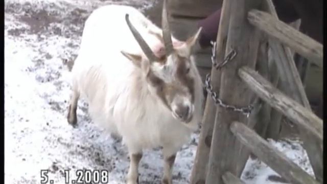 Скансен зимой и летом (Стокгольм, Швеция)