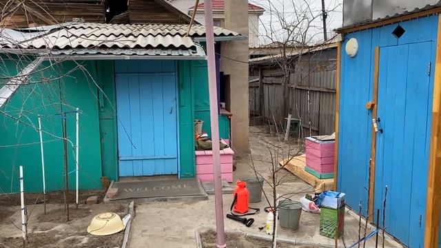 Чем обработать сад весной. Весенняя обработка сада от вредителей. Опрыскивание деревьев весной.