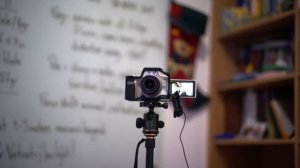 Noctilux vs TTArtisan 50mm f0.95 - Part Deux