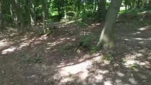 С тёщей на даче нашёл повод как отдохнуть.