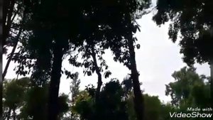 Абхазия Гудаута море и пляж / пансионат Черноморец . Август 2018.