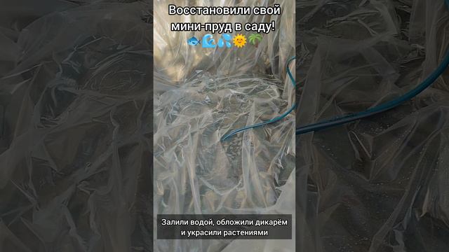 Восстановили свой мини-пруд в саду! 🐟🌊💦🌞🌴