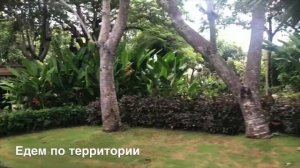 Ayana Jimbaran Bali 5* - обзор, март 2020