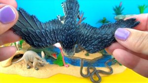 Happy Cute NEW ZOO Animals WILDLIFE Watering hole Playset Toy Review MANDRILLS SuperFunReviews