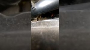 Ремонт Мотора 2,5 Т5 В5254т2