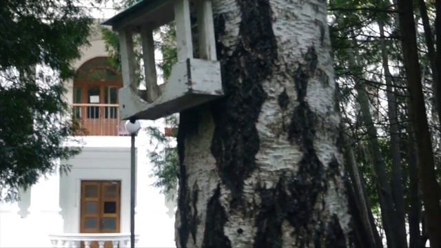 История писательского городка в Переделкино