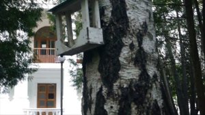 История писательского городка в Переделкино