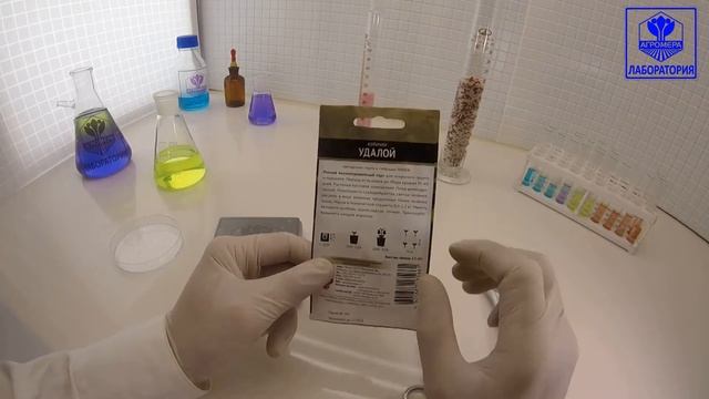 Кабачок цуккини Удалой. Поиск смотреть онлайн