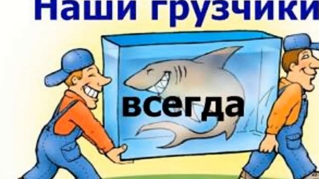 A TASTE OF RUSSIAN PODCAST #269 – СПОСОБНОСТИ И ТАЛАНТЫ (FREE) смотреть онлайн