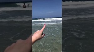 Венесуэла обзор отеля LD plus 5* и пляжа Playa El Agua на Маргарите