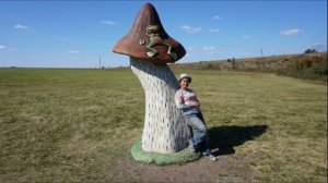 Грибы. Ландшафтный дизайн участка.