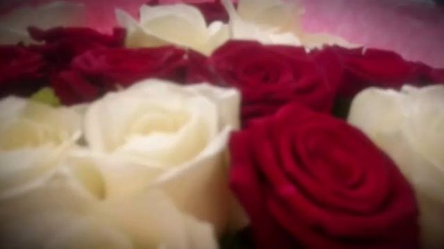 Великолепный букет из 25 красных и белых роз! | Magnificent bouquet of 25 red and white roses! смотреть онлайн