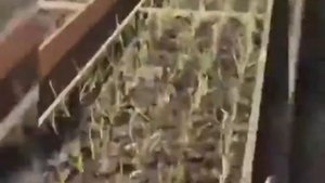 Высокие грядки своими руками