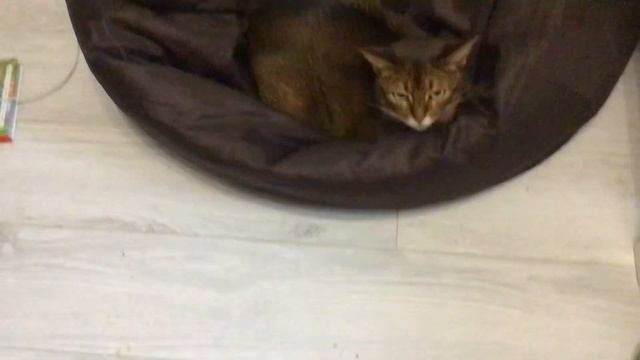 29 сентября 2022 г. смотреть онлайн