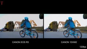 Canon EOS R5 VS Canon 1DX MARK III CAMERA COMPARISON